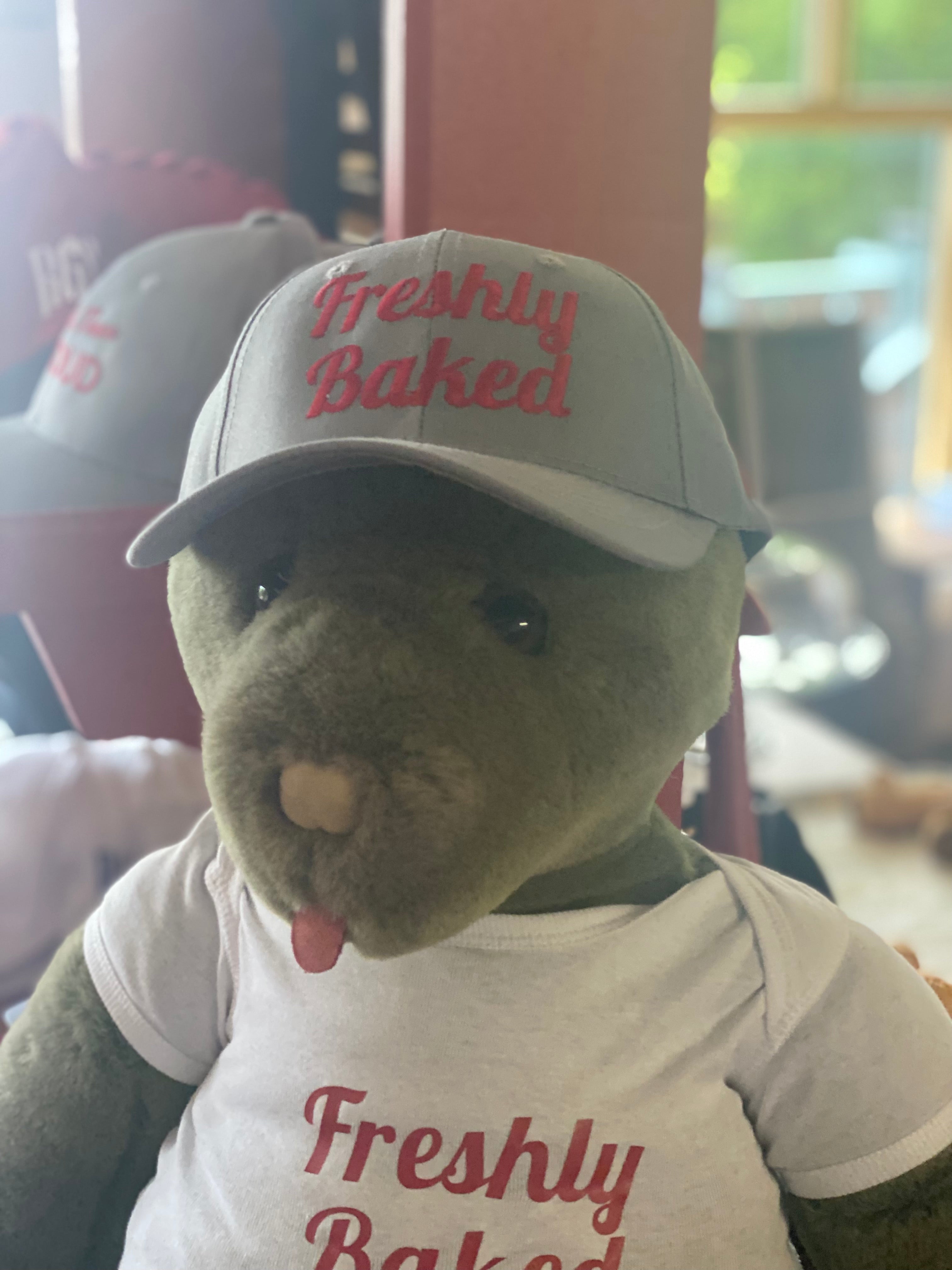 Rosemont General Store Baseball Hats