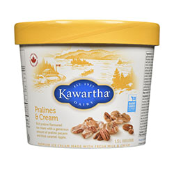 Kawartha 1.5L Ice Cream Tub