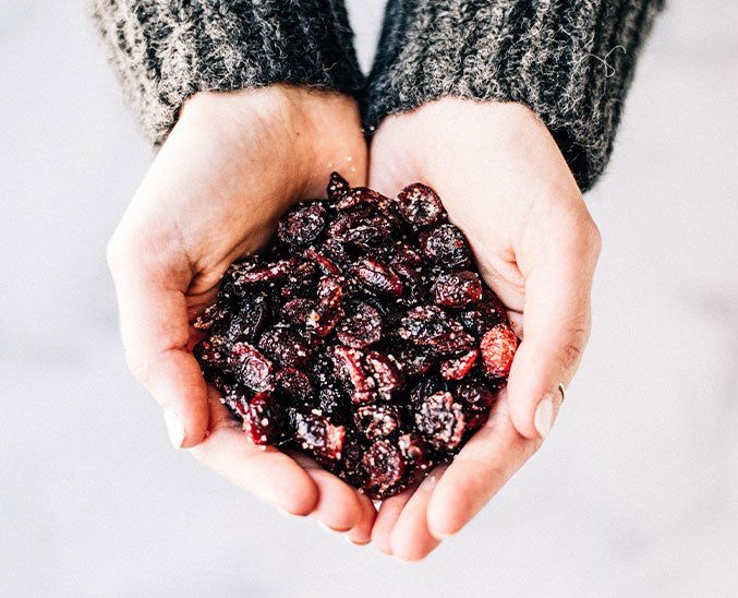 Patience and Co. Dried Cranberries